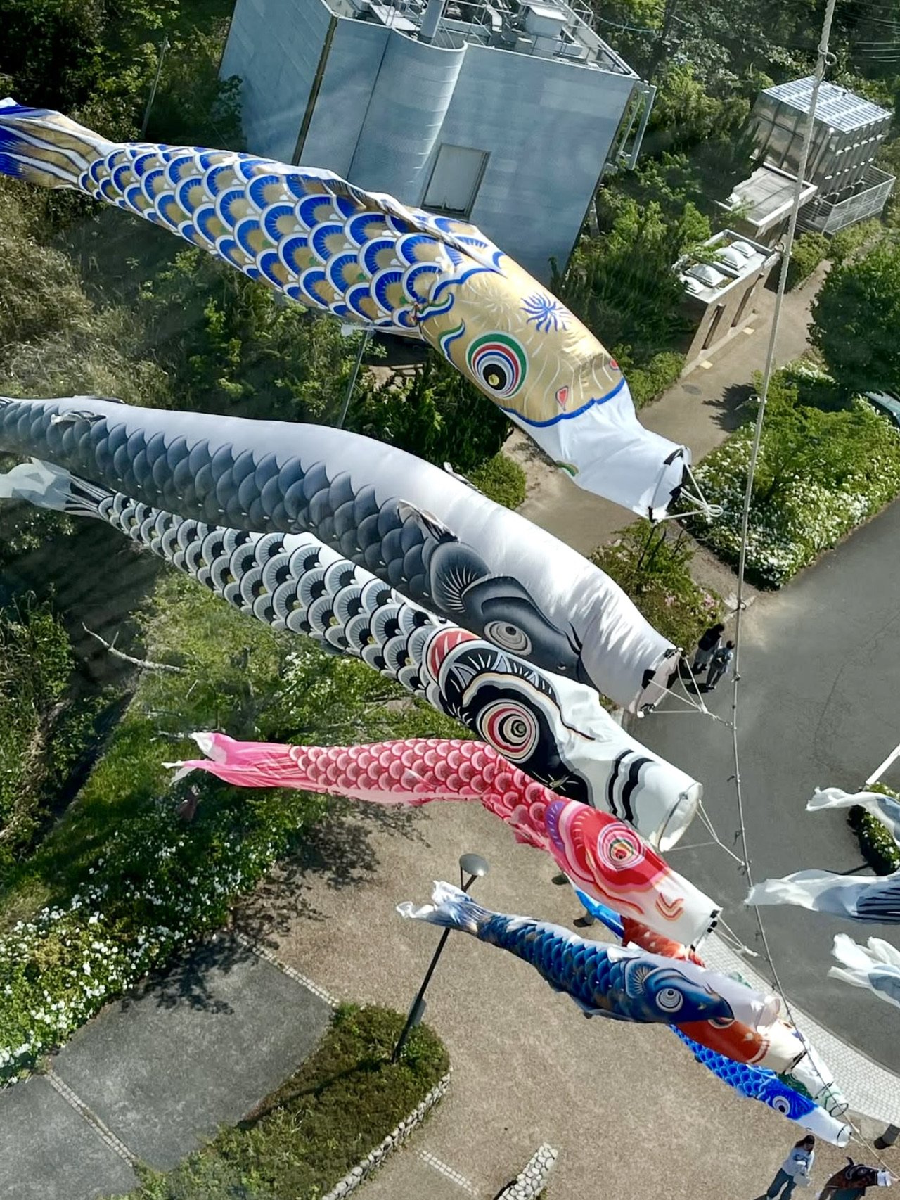 🗼 고로 스카이타워 이미지 9